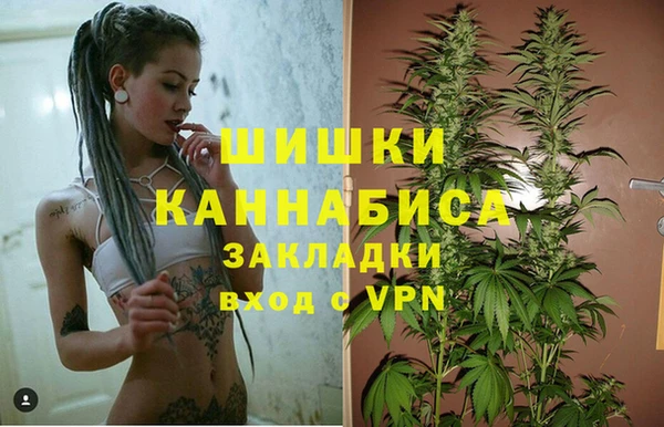 прущая мука Михайлов