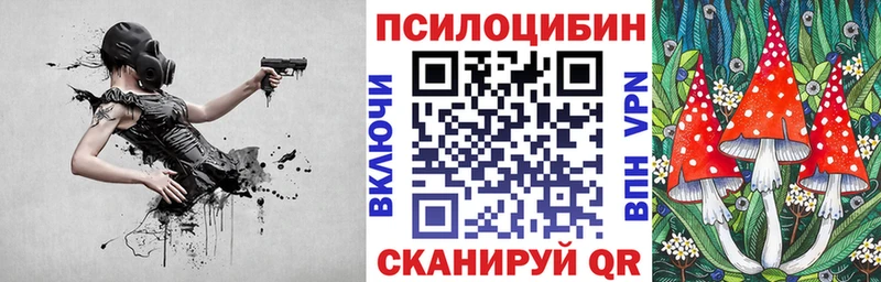 Псилоцибиновые грибы Magic Shrooms Купить Щигры